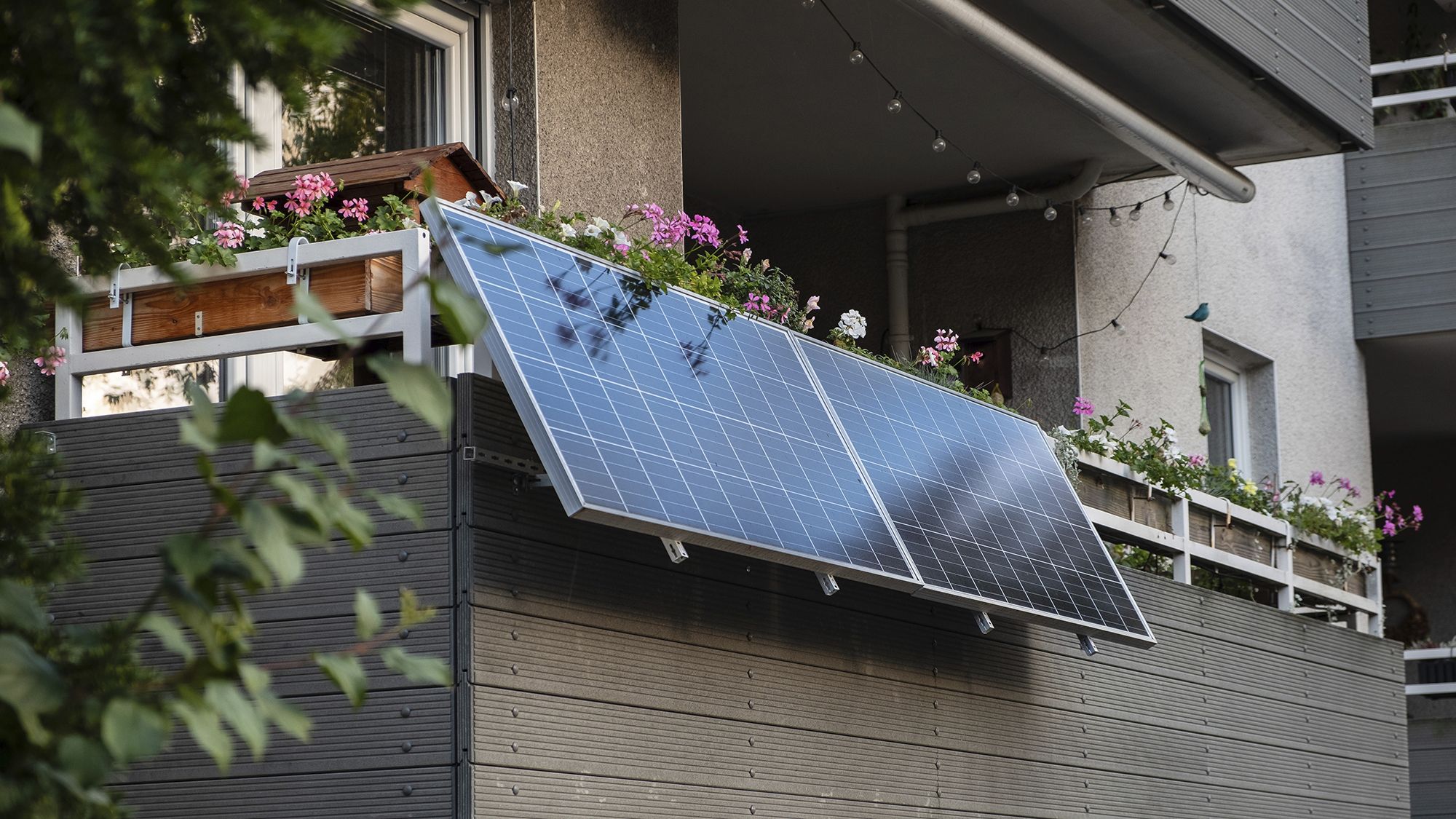 The plug-in solar revolution will start in the UK from August 27, as government reveals crucial date — and Amazon says it’s ‘looking forward to helping customers access this technology’