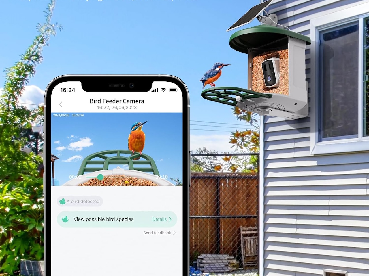 HARYMOR Smart Bird Feeder With Camera Review: 2K, Solar, Under $90