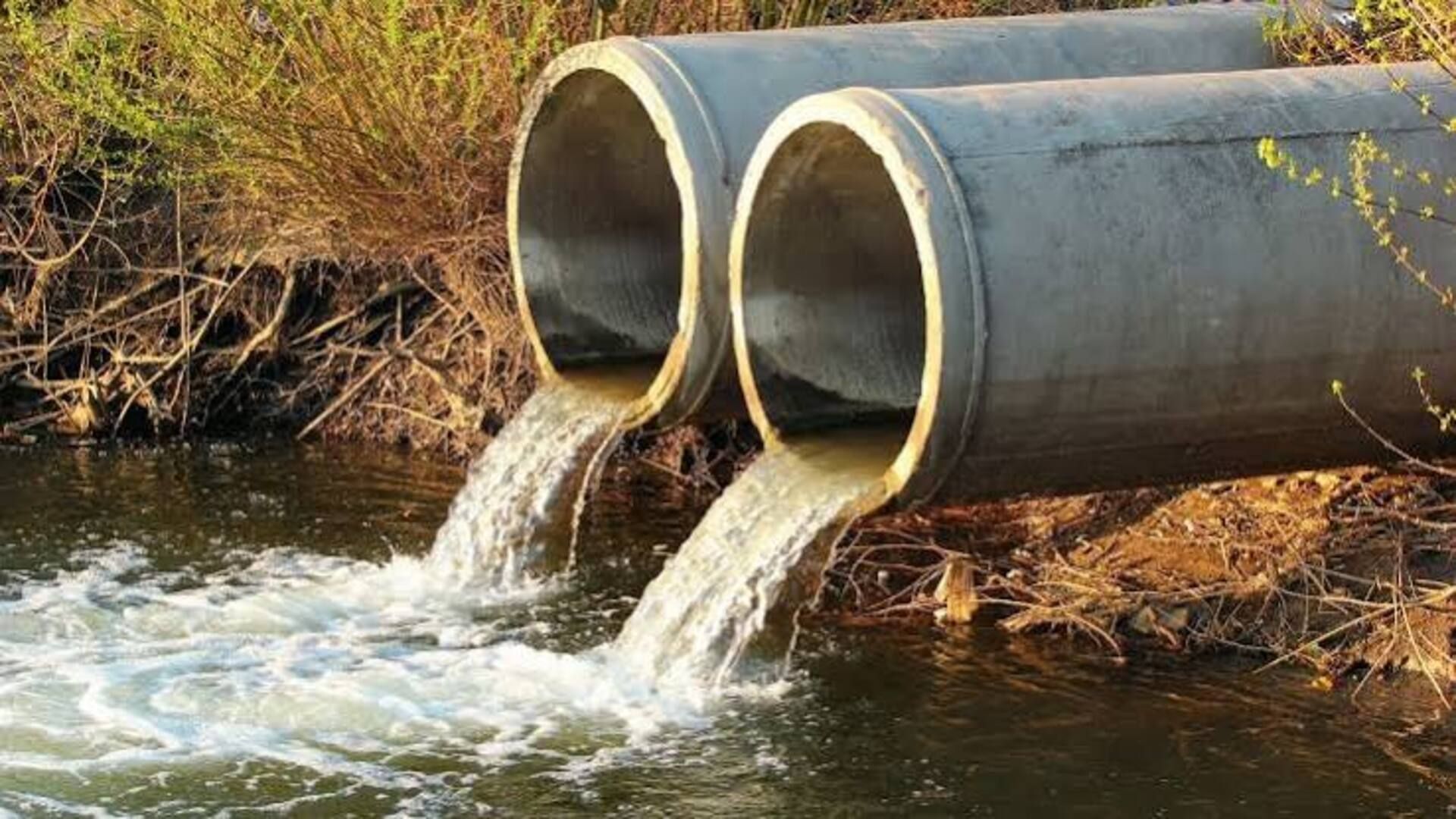 Rheya’s sewage batteries face sodium-ion and lithium rivals