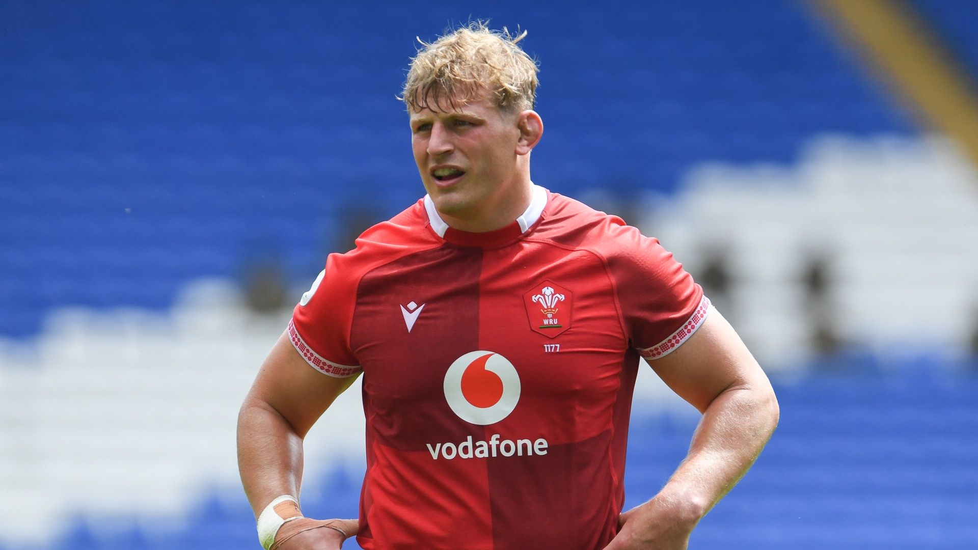How to watch Argentina vs Wales for FREE: Live streams and TV channels for Nations Championship 2026