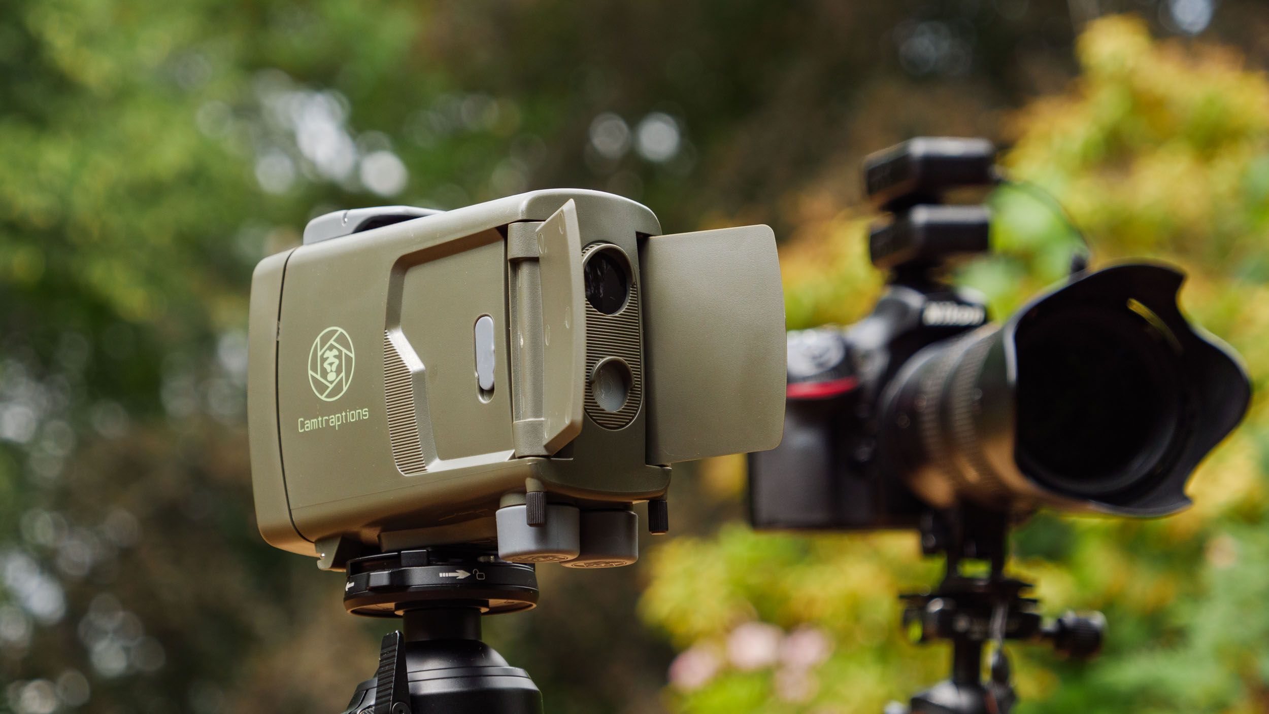 The secret to next-level garden wildlife photos? I tested an award-winning camera trap, and breathed new life into my old DSLR gear
