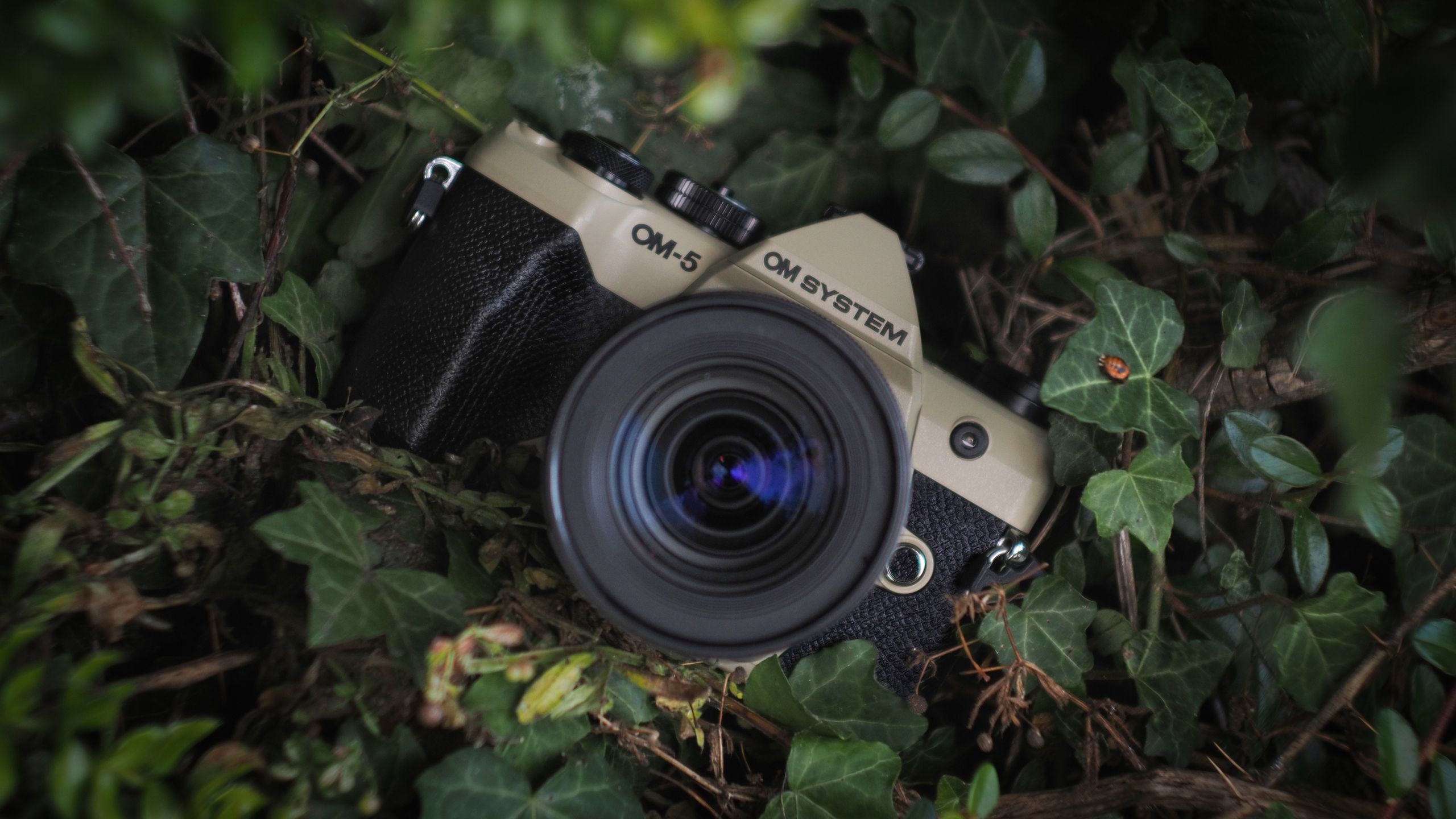 The compact camera trend is bleeding into mirrorless – and this retro model has popped into Japan’s top ten for the first time