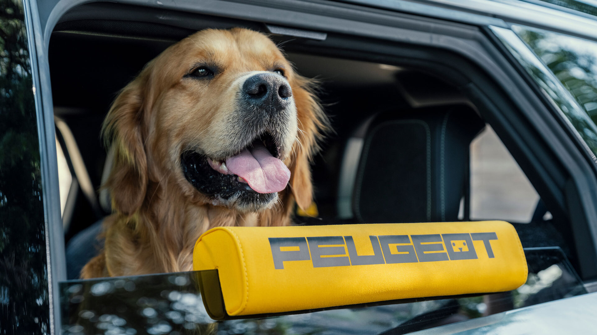 New Stellantis Concept Recalls Lost Dogs And Helps Them Get Back Inside | Carscoops