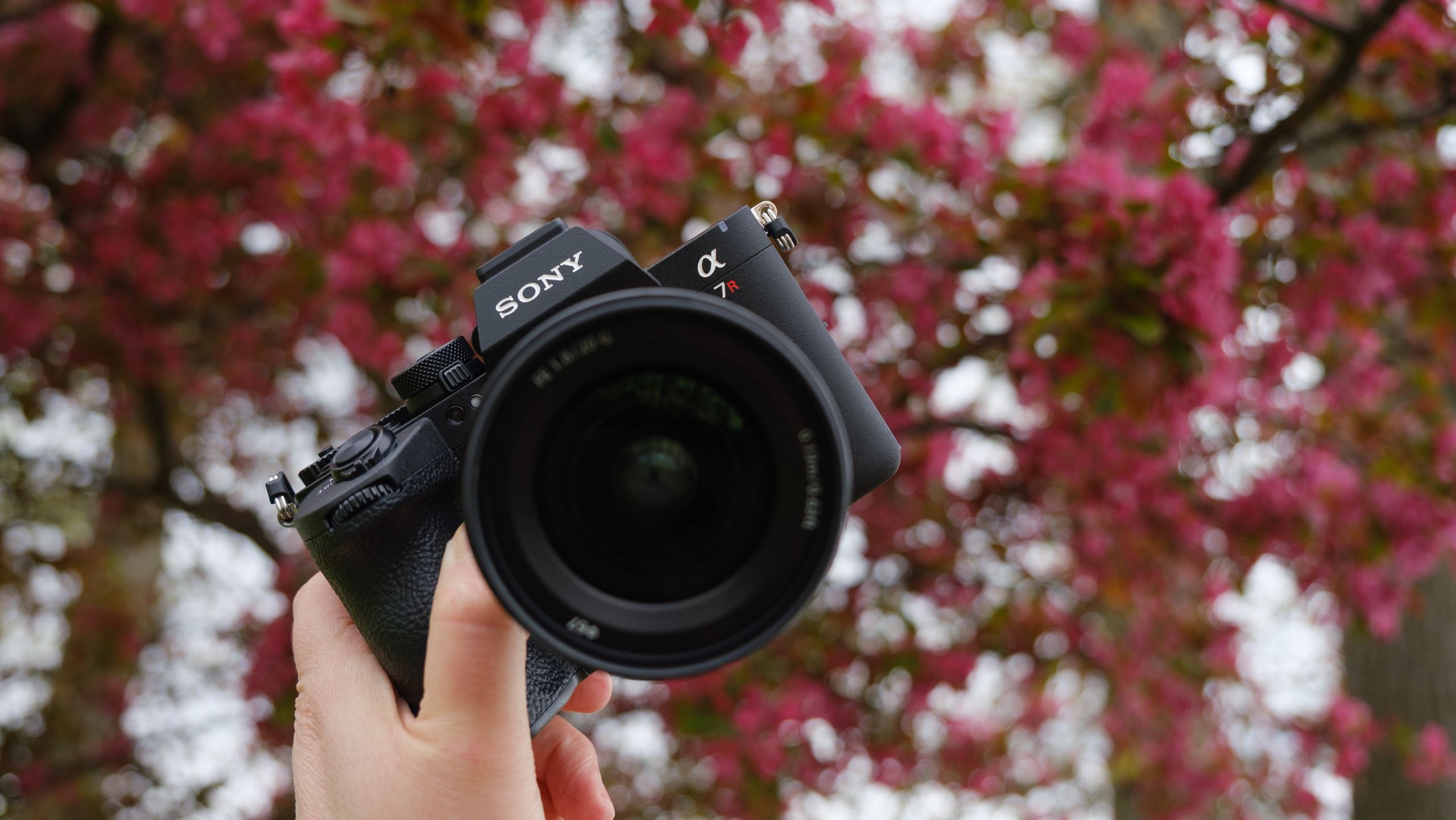 The Sony A7 V is no longer king as 66.8MP monster tops US camera sales charts, followed by unstoppable Kodak Charmera