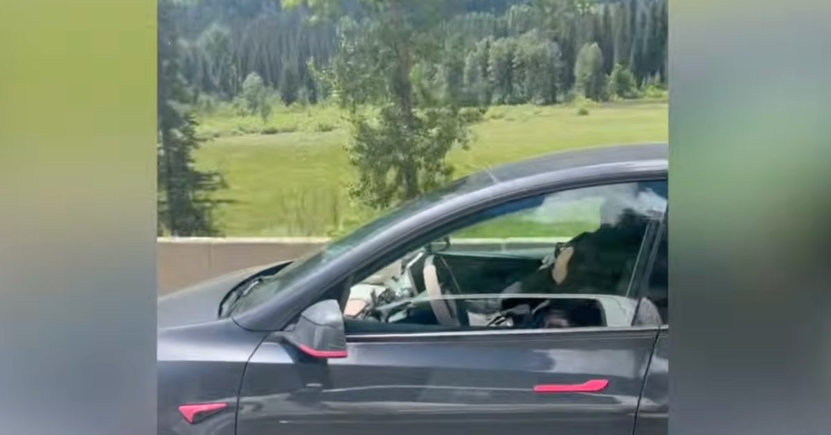 Tesla in-cabin camera fails to prevent 60 mph naps as Wisk Aero faces lawsuit