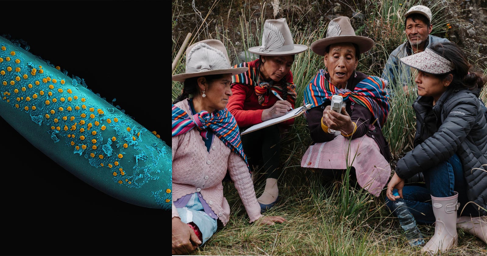 This Free to Enter Photo Competition Has a $70,000 Total Prize Fund