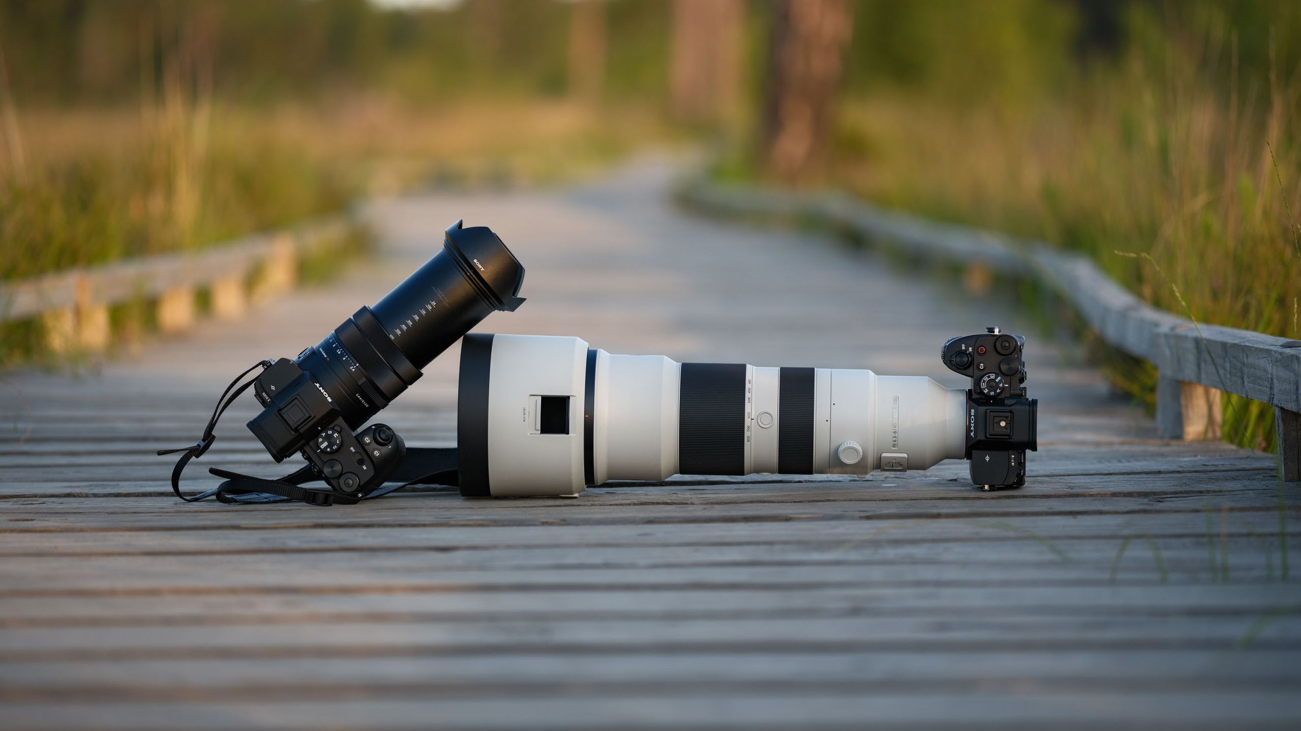 I took the same wildlife photos with the new Sony RX10 V superzoom camera and pro Sony mirrorless gear — here’s how they compare