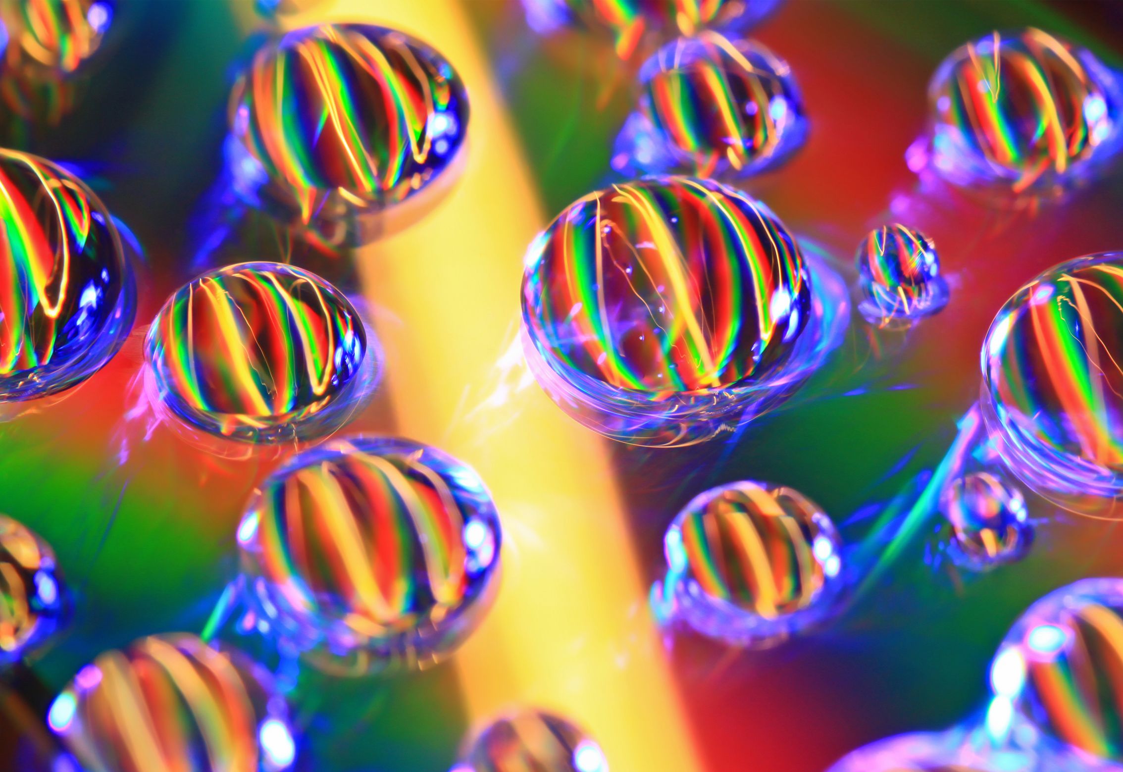 “I cannot replicate this one. Ever” – This macro photo was shot with a DSLR from 2009
