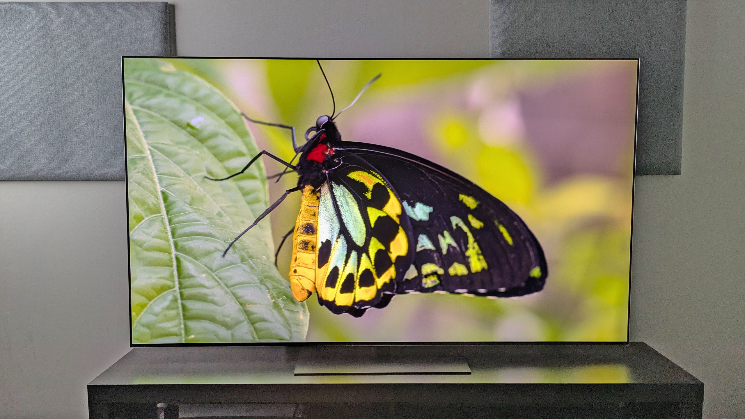 Best Buy cuts up to $900 off the LG B6, C6, and G6 OLED TVs in its ‘Black Friday in July sale’ — discounts on the latest 2026 models