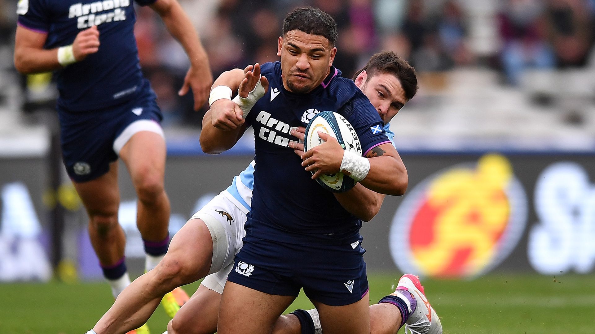 South Africa vs Scotland Free Streams: How to watch Nations Championship 2026 game, TV Channels, Preview