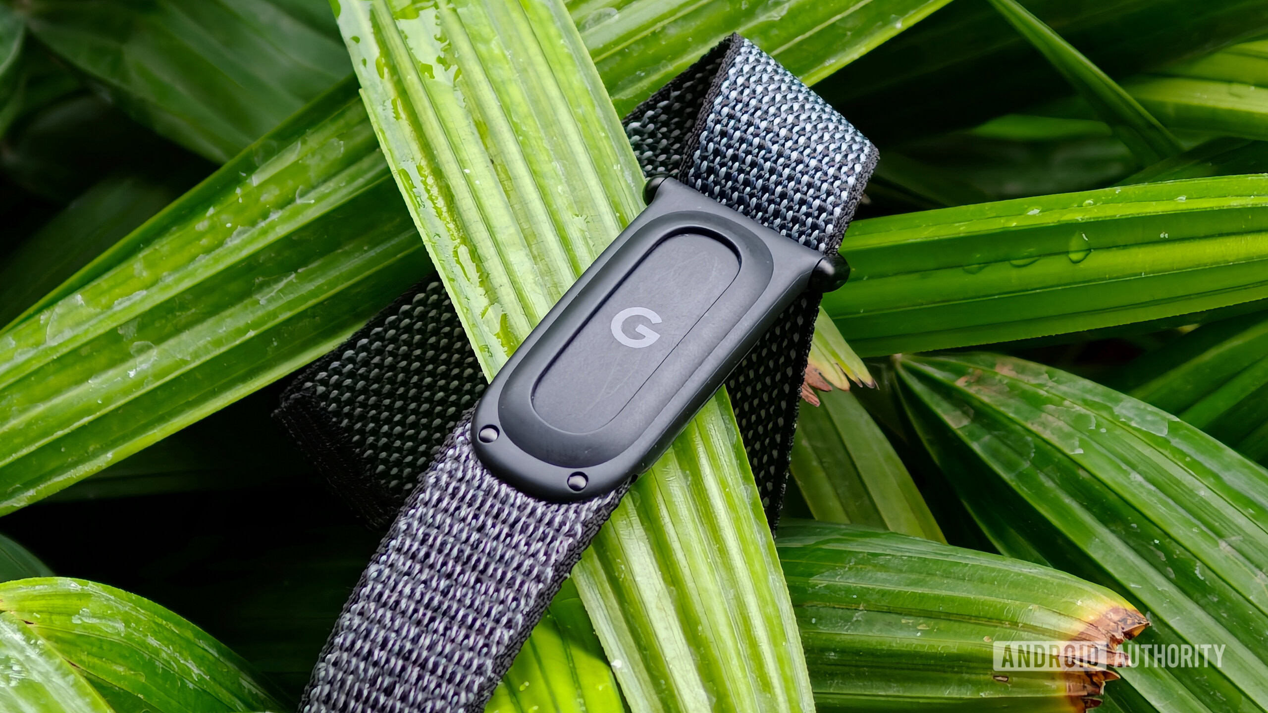 I couldn’t have been more wrong about the Fitbit Air — here’s what changed my mind