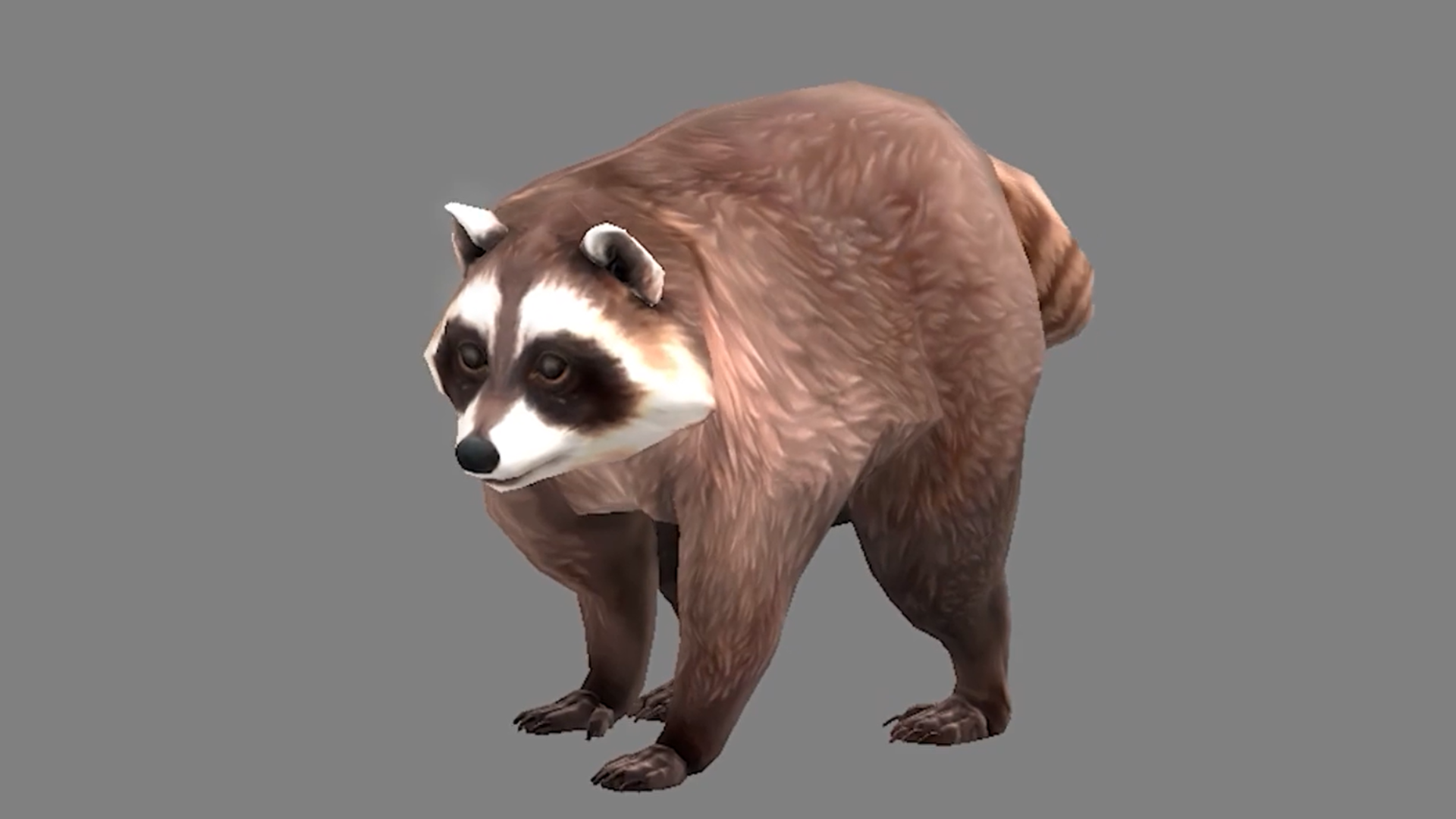 An ArenaNet developer’s spouse first discovered Jimothy the raccoon, so it’s only right that Guild Wars 2 adds him as a new pet for all classes