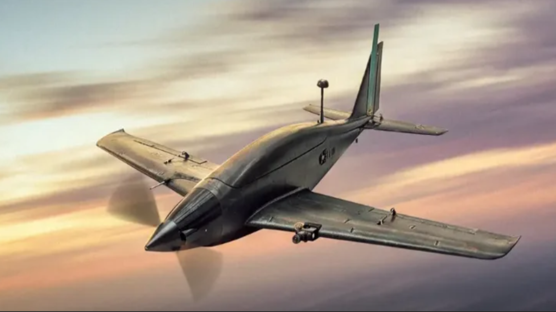 Ukraine reveals explosive falcon-like UAV that takes out Russian drones