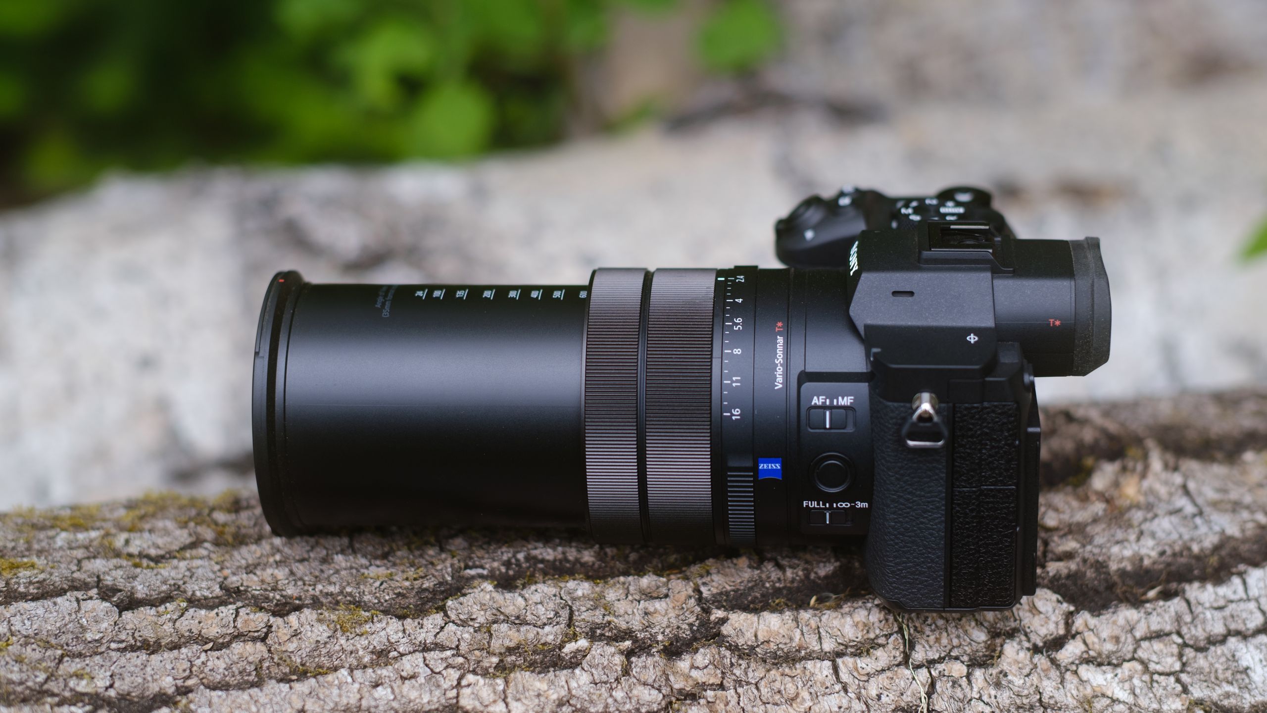 The Sony RX10 V isn’t a compact camera, but the 24x lens covers macro to telephoto