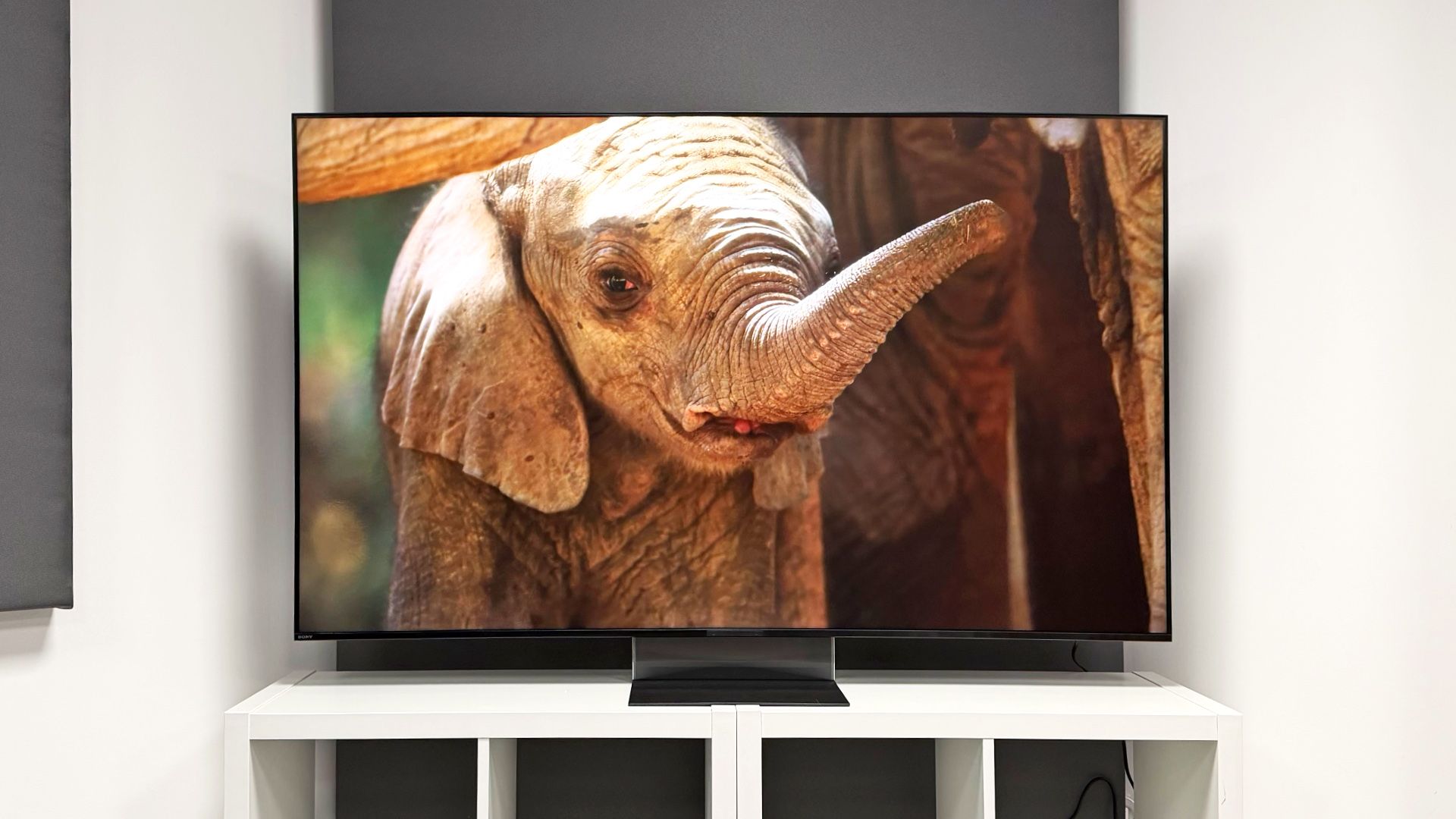 I thought Sony’s flagship RGB Mini LED might finally beat OLED – then I tested them side by side