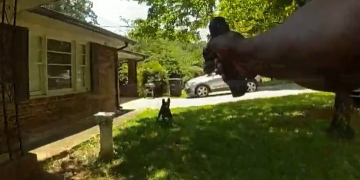 Body camera video shows fatal dog shooting in Cobb County
