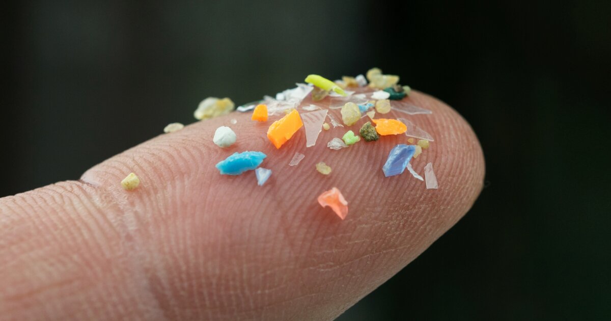 We can now watch microplastics moving through our bodies
