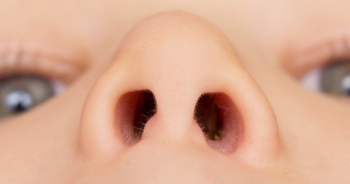 A hidden map in your nose may hold the secret to smell