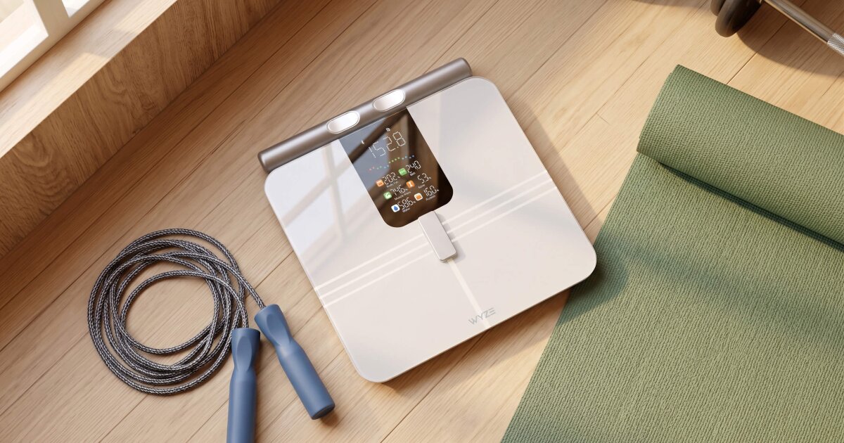 $80 smart scale maps body fat and muscle by body part