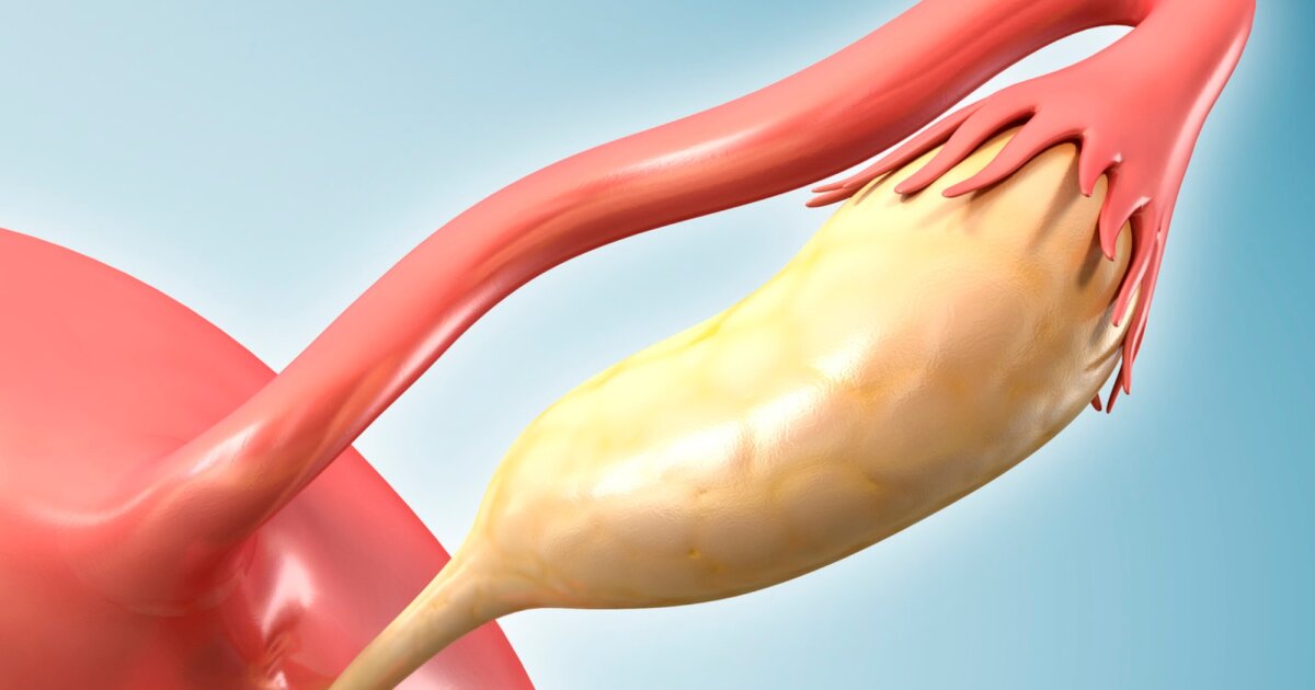 Ovaries take on a surprising new job after menopause, study reveals