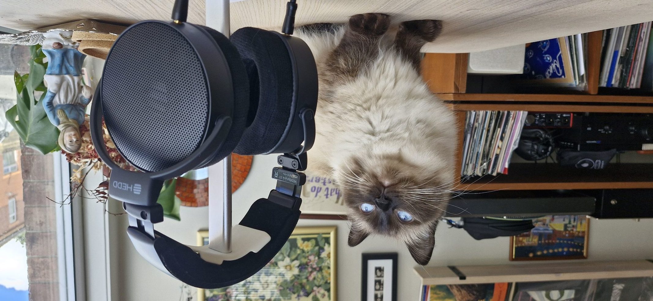 I don’t like giving five stars, but HEDD’s HEDDphone D1 wired headphones are unequivocally the best over-ears I’ve ever tested