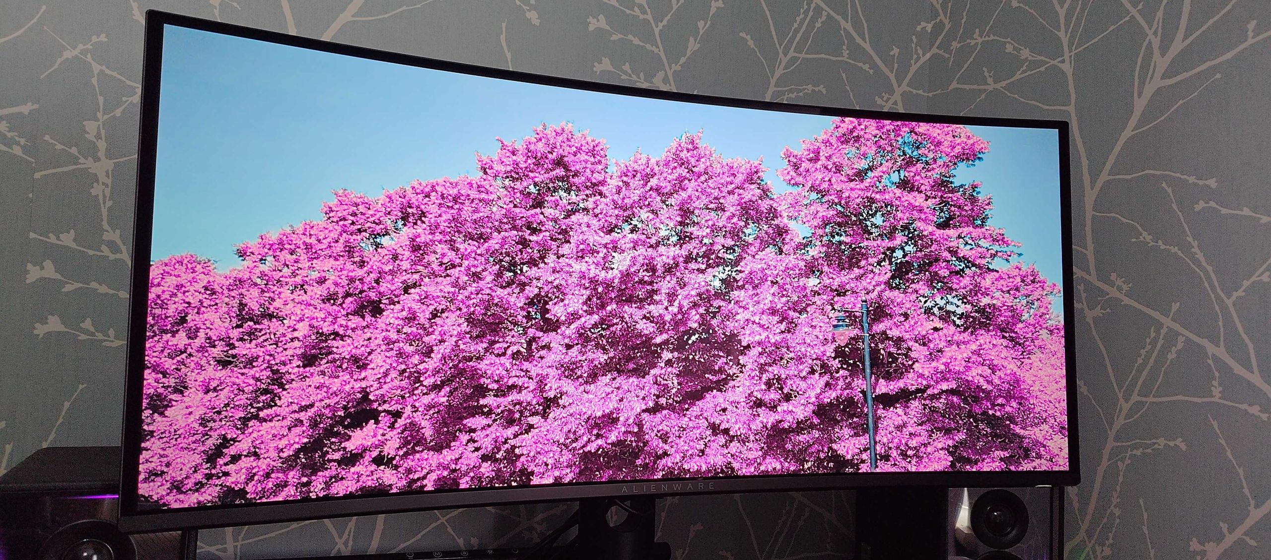 The Alienware AW3426DW has convinced me that tandem OLED is the future for QD-OLED monitors, and it’s the best 34-inch ultrawide I’ve used