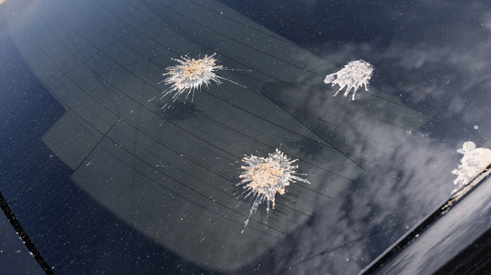 How To Remove Stains From Your Car’s Windshield Or Window Without Scratching The Glass – SlashGear