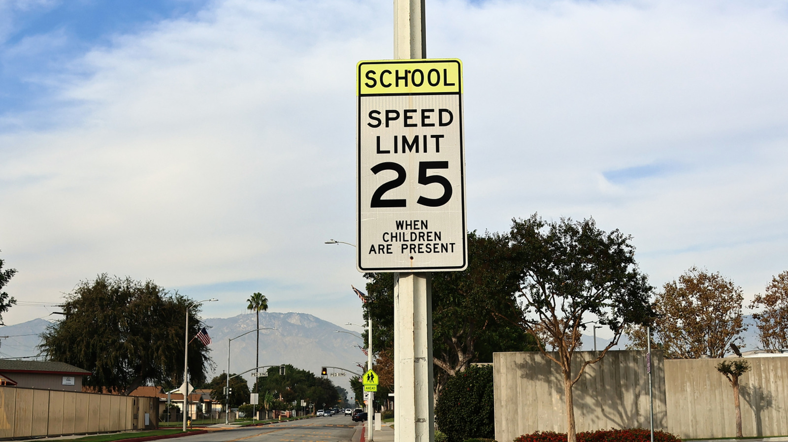 What Are Prima Facie Speed Limits? – SlashGear