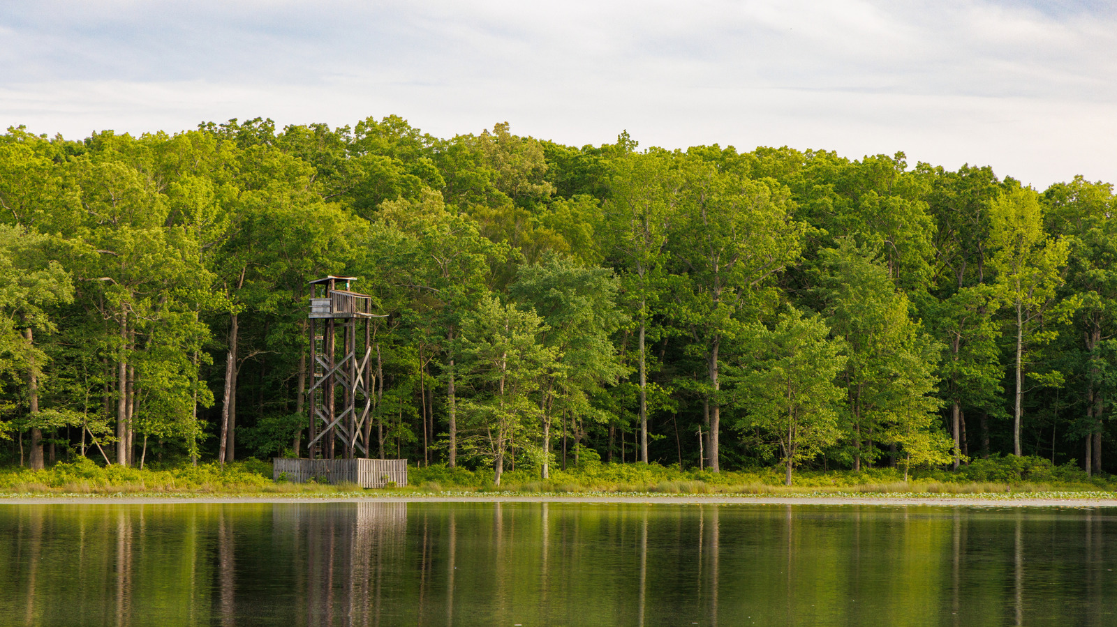 NASA transfers ownership of Maryland woodland to the US Fish and Wildlife Service – Engadget