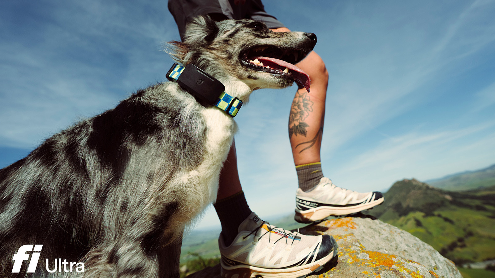 Fi Ultra pet tracker uses T-Mobile’s Starlink satellite service for coverage – Engadget