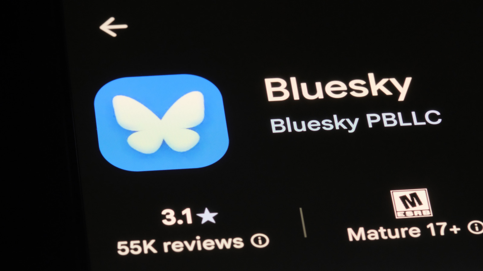 Bluesky has an official CEO again – Engadget