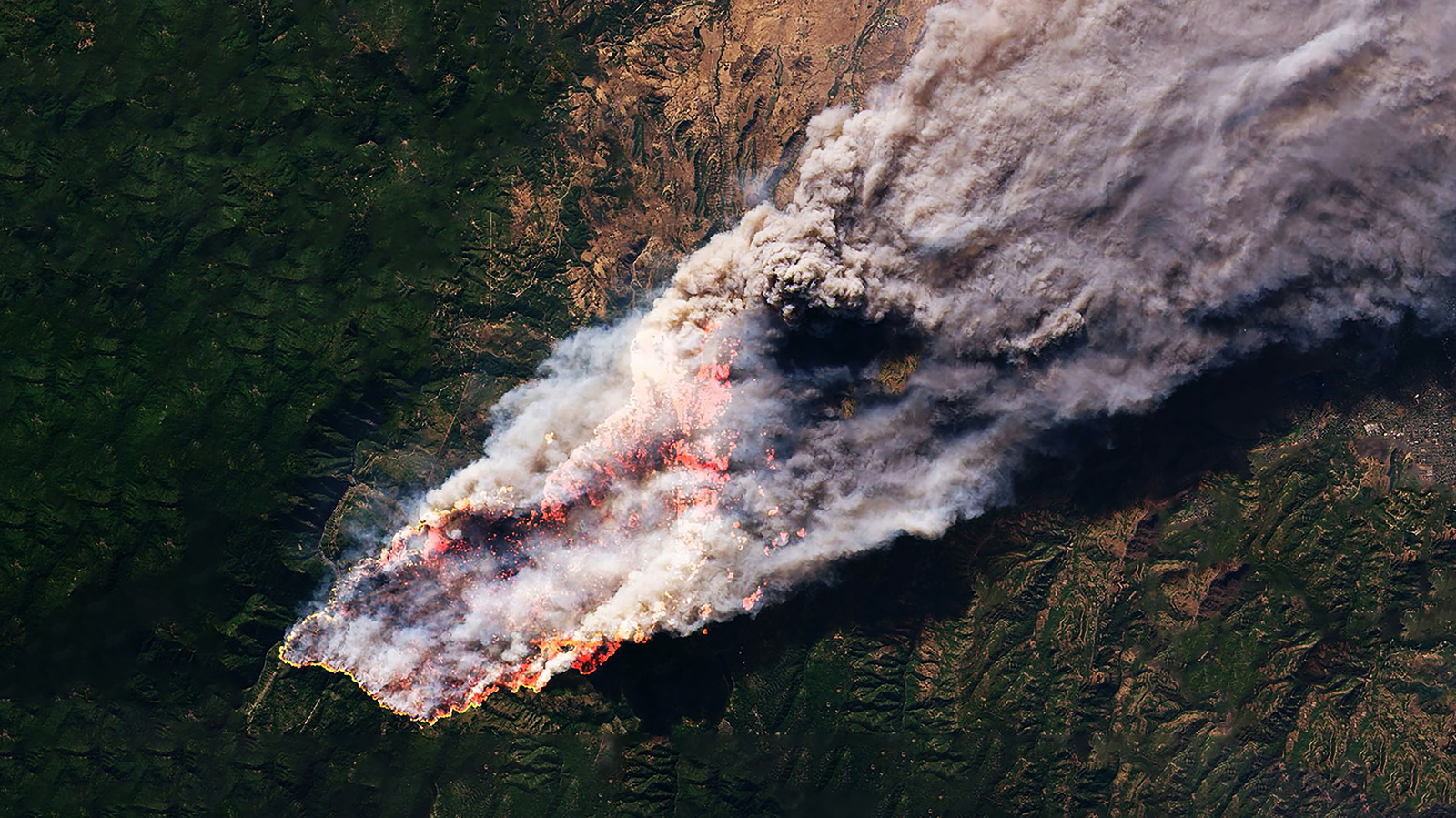 This Is The First Satellite Constellation Made To Detect Wildfires Before They Grow – SlashGear