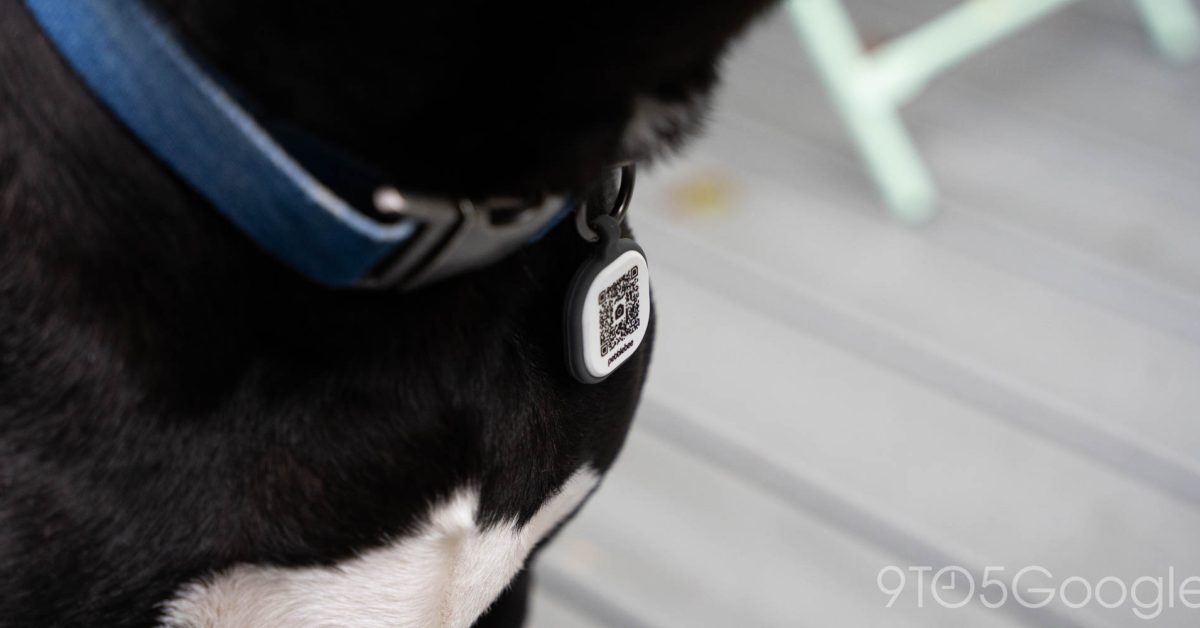 Pebblebee launches bag tags and pet collar IDs to go with your Find Hub trackers
