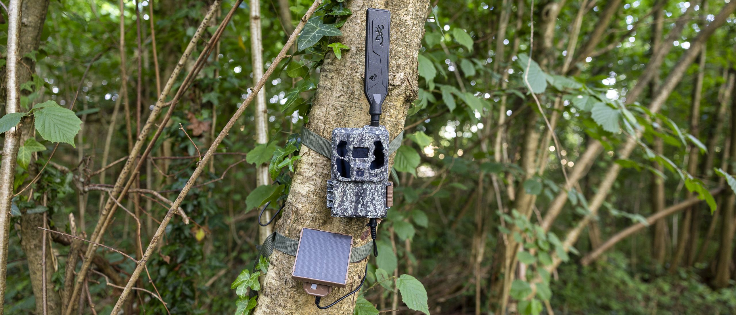 Browning Defender Pro Scout Max Solar review: a truly hands-off and long-term wildlife watching tool