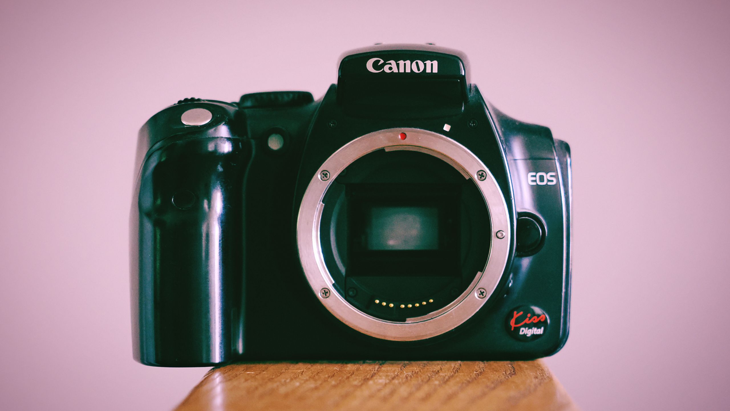 Canon still sells 600,000 DSLRs! “As long as there are customers, we would like to offer our products”