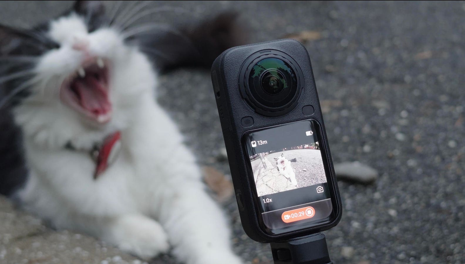 Insta360 X6 Review: Improved Visuals Mean It’s No Longer Just For Play