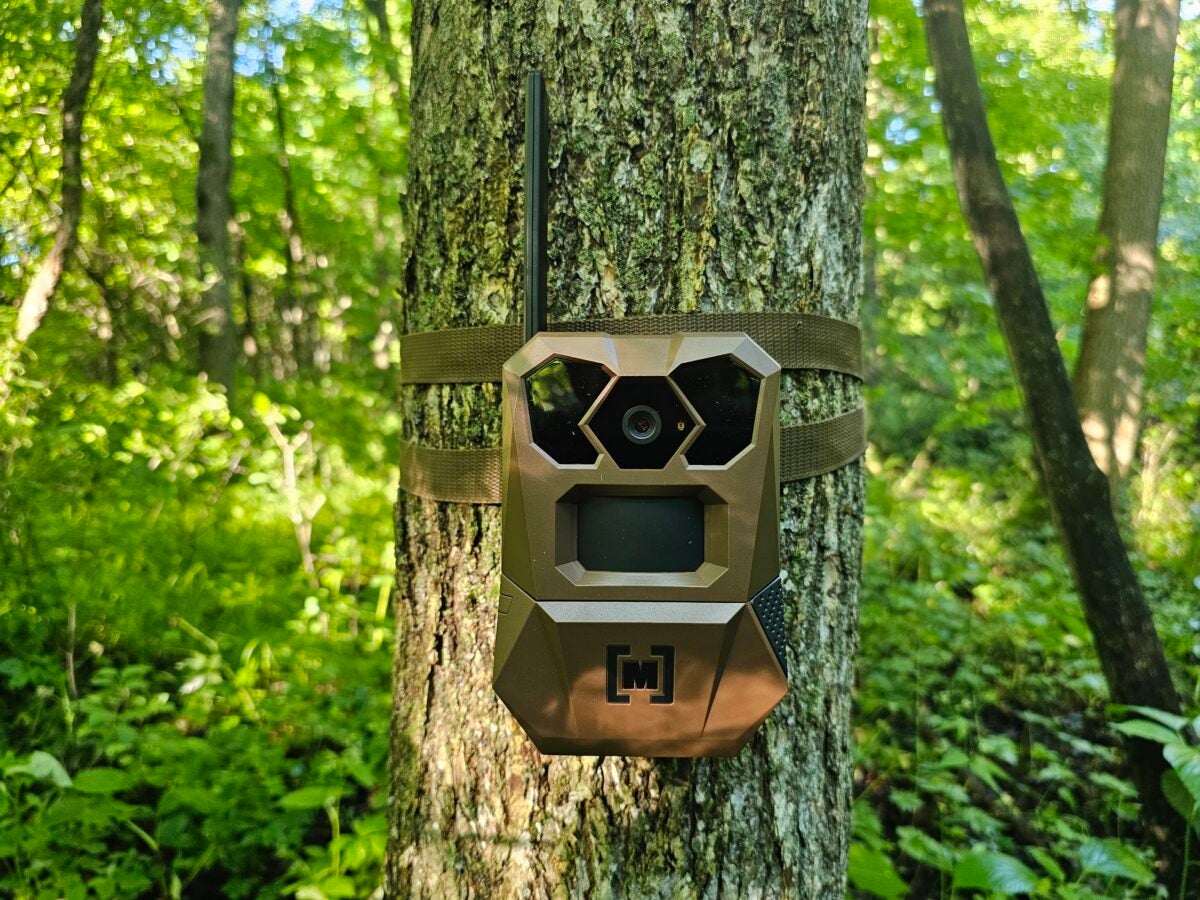 AllOutdoor Review: Moultrie Edge 4 Cellular Trail Camera – Set It, Forget It