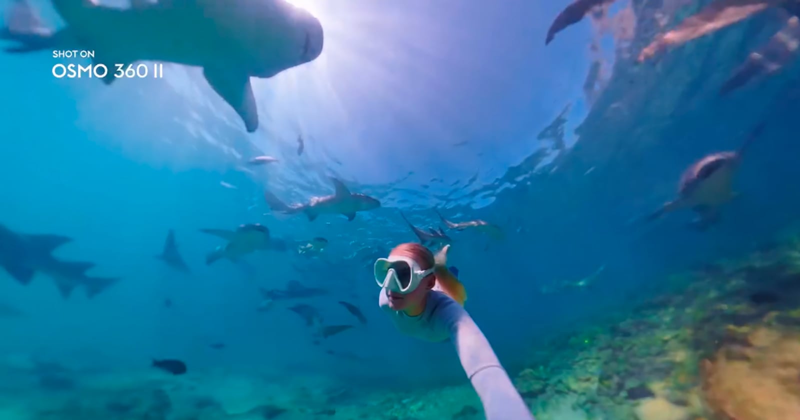 DJI Teases Osmo 360 II With Footage From the New Camera