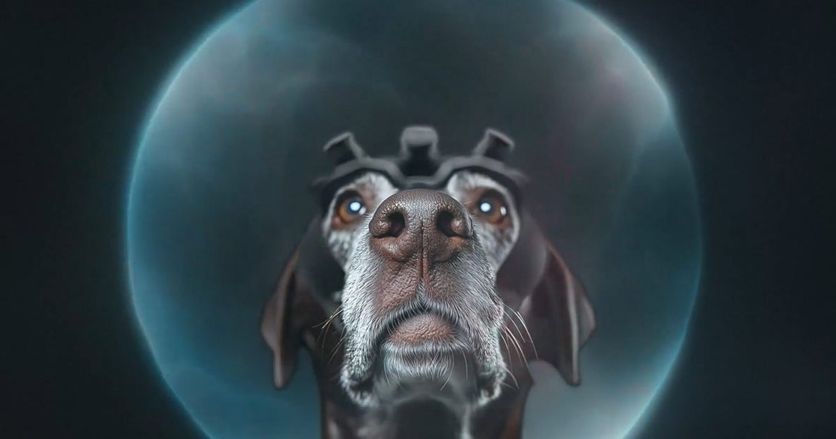 AI’s new cancer-screening partner has four legs and a very good nose