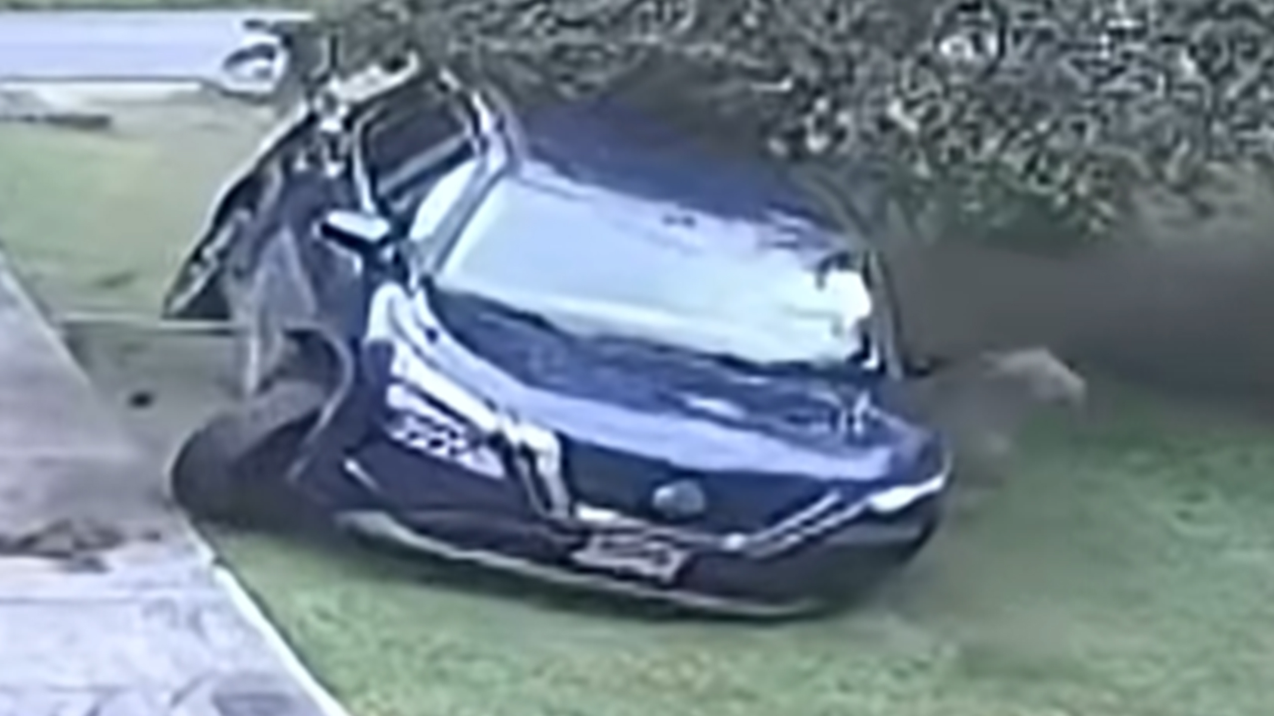 Nine Cars Have Crashed Into This Maryland Woman’s Front Yard In Two Years | Carscoops