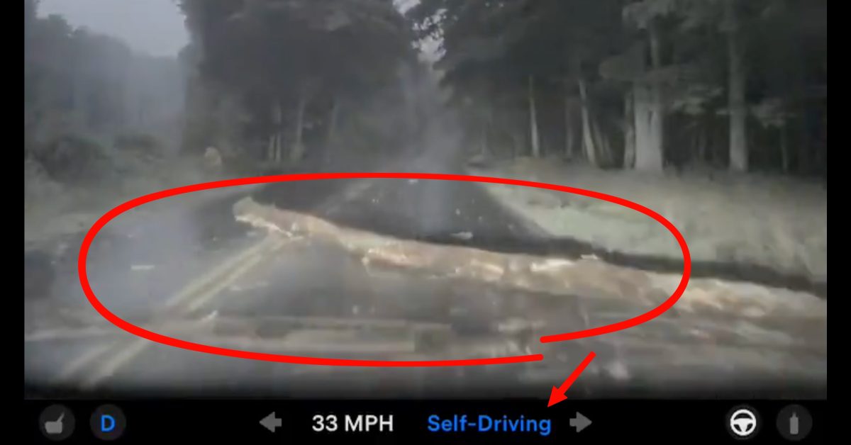 Watch Tesla FSD v14 Lite drive over a giant log without stopping