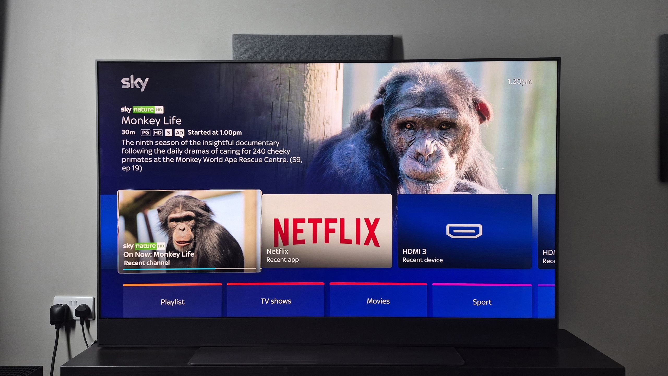 I’ve been using the Sky Glass Gen 2 as my living room TV for over a year, but is it worth picking over models from the likes of LG, TCL and Hisense? Here’s my view