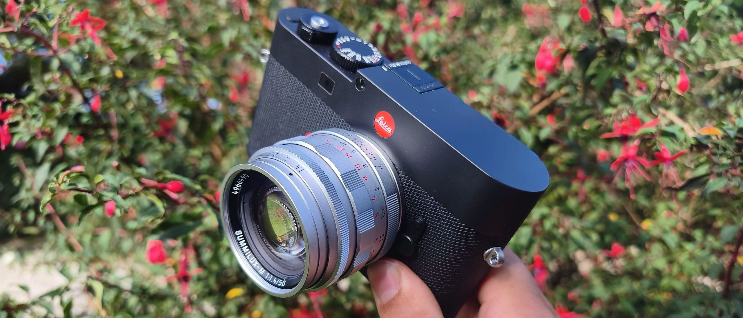 Leica 50mm Summilux-M f/1.4 review: a classical lens for the modern age
