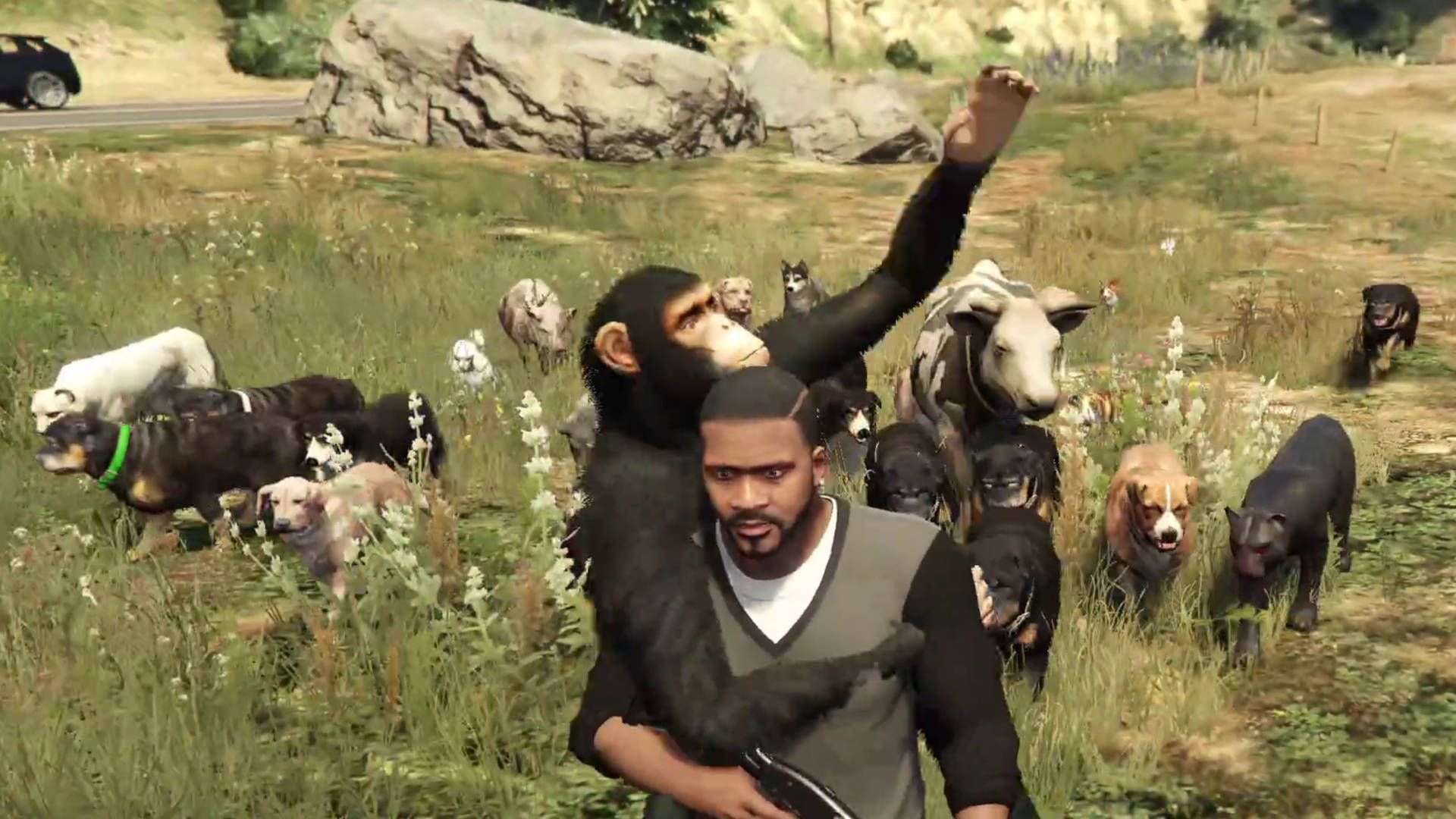 I have modded many dogs, several cows, 2 lions, and a chimpanzee into Grand Theft Auto 5