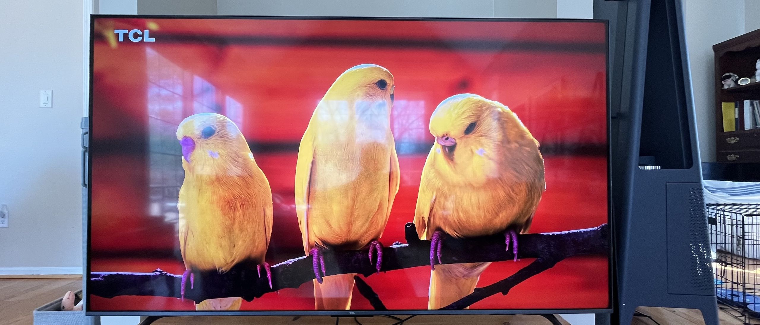 Our favorite budget Mini-LED TV already ‘punched above its price class’ – and it’s now just $499 at Best Buy