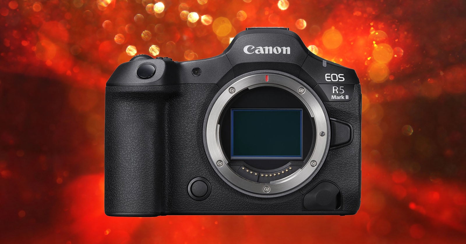 Canon Has Increased Its Massive Digital Camera Market Share Lead