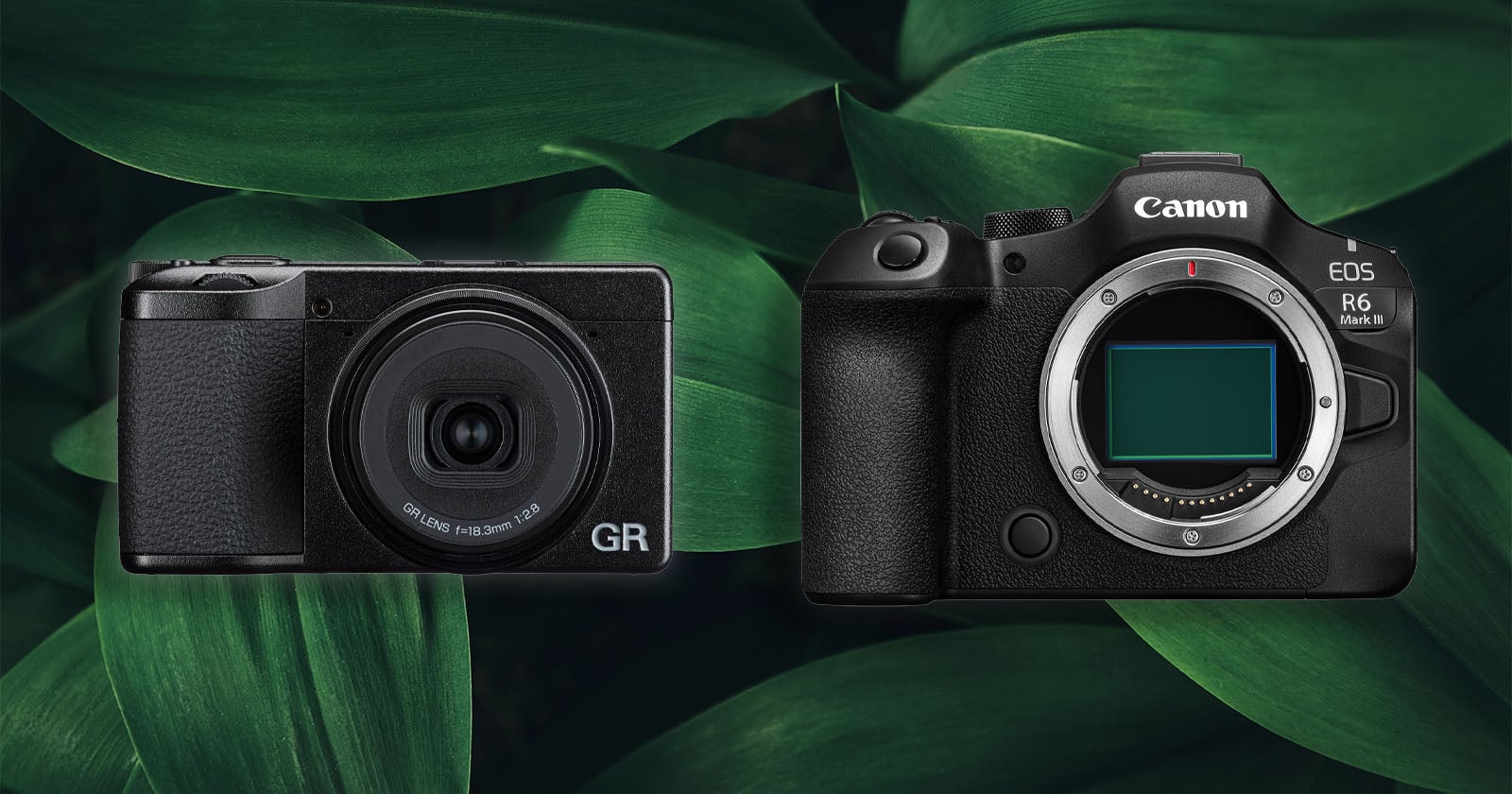 Japanese Government Says the Digital Camera Industry Is In Recovery