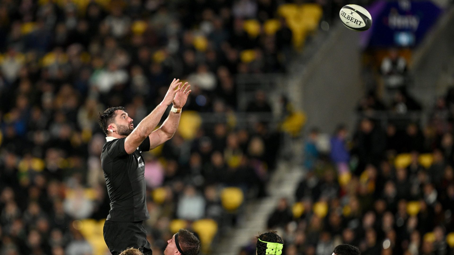 How to watch Sharks vs All Blacks for FREE: Live streams and TV channels