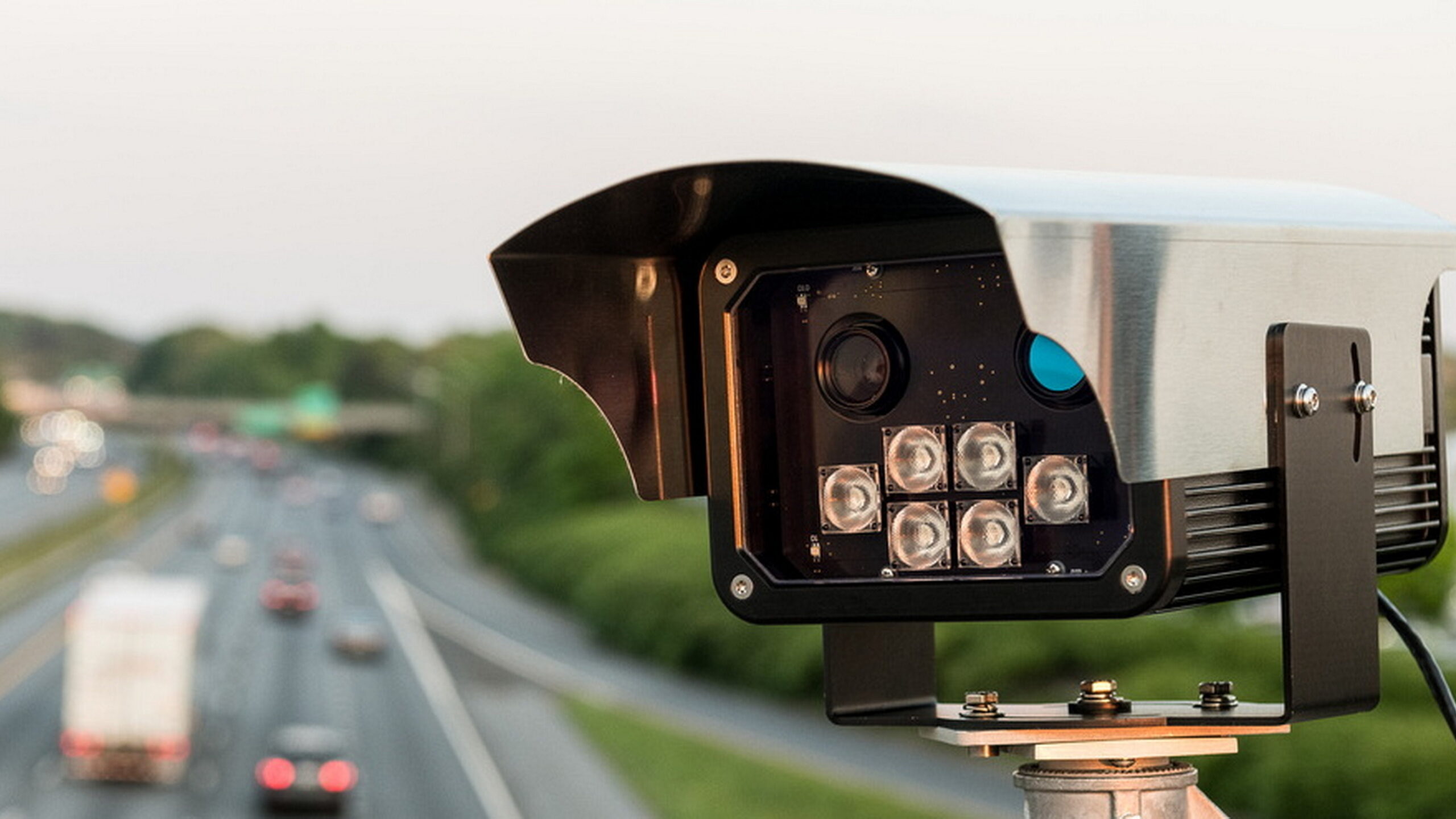 New Tech Can Link Your Phone And Dog’s Collar To Your License Plate In Maryland | Carscoops