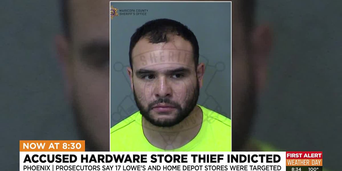 Phoenix man indicted in $6K Valley power tool theft case
